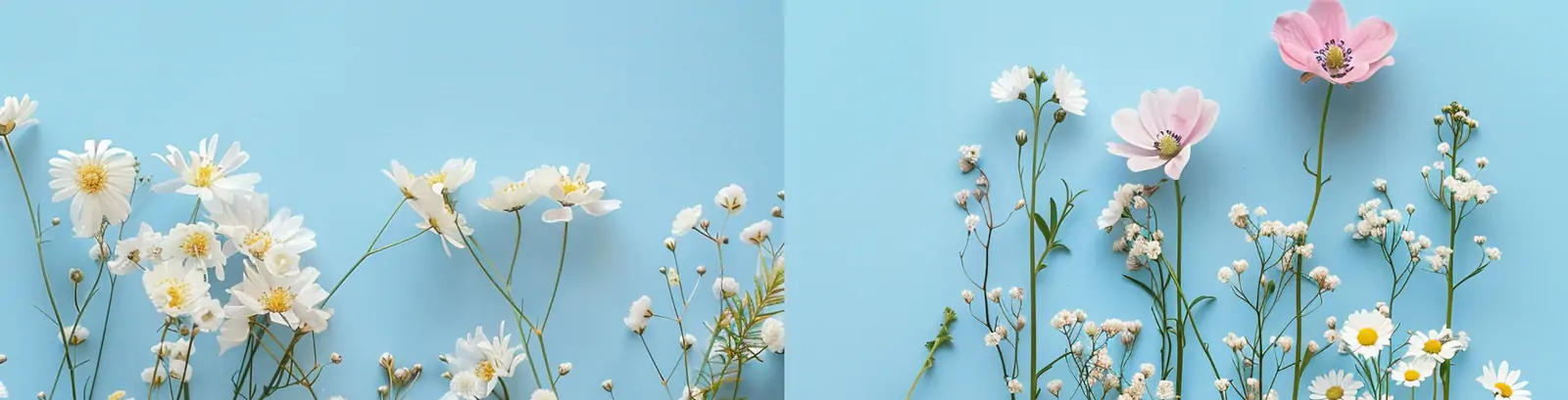 创意春天淡蓝色清新田野精致美丽花朵概念艺术平面插图海报背景midjourney关键词咒语