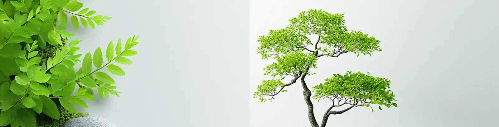 中国风绿色园林建筑岩石苔藓树木植物艺术摄影海报midjourney关键词咒语