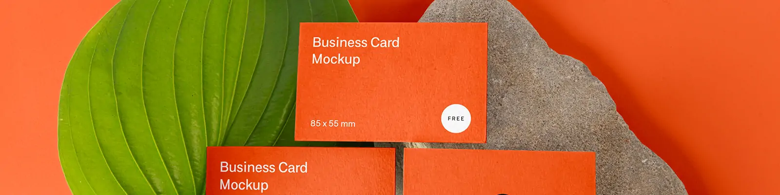 简洁商务名片卡片样机贴图海报psd分层设计素材模板Mockup