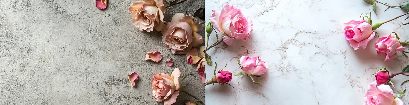 时尚简约春天鲜花玫瑰花广告摄影背景墙midjourney关键词咒语