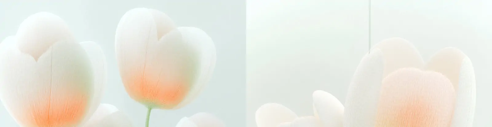 创意柔和逼真牡丹鲜花立体模型摄影海报midjourney关键词咒语