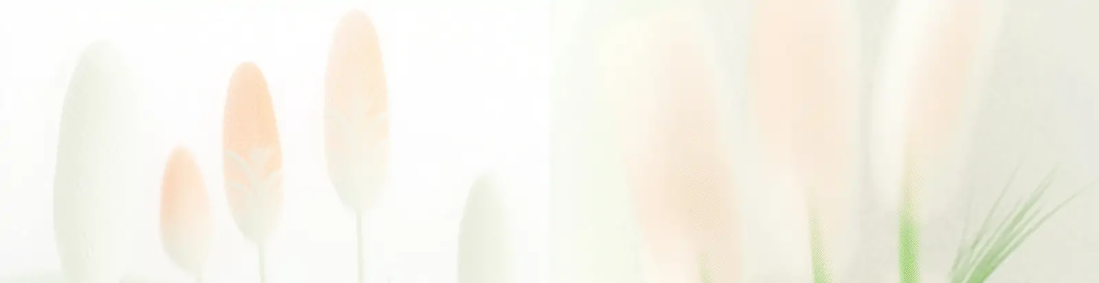 手绘中国风东方美学水墨自然鲜花植物插图绘画海报midjourney关键词咒语