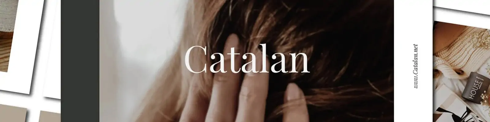 简约品牌LOGO设计企业商标VI设计演示提案PPT模版