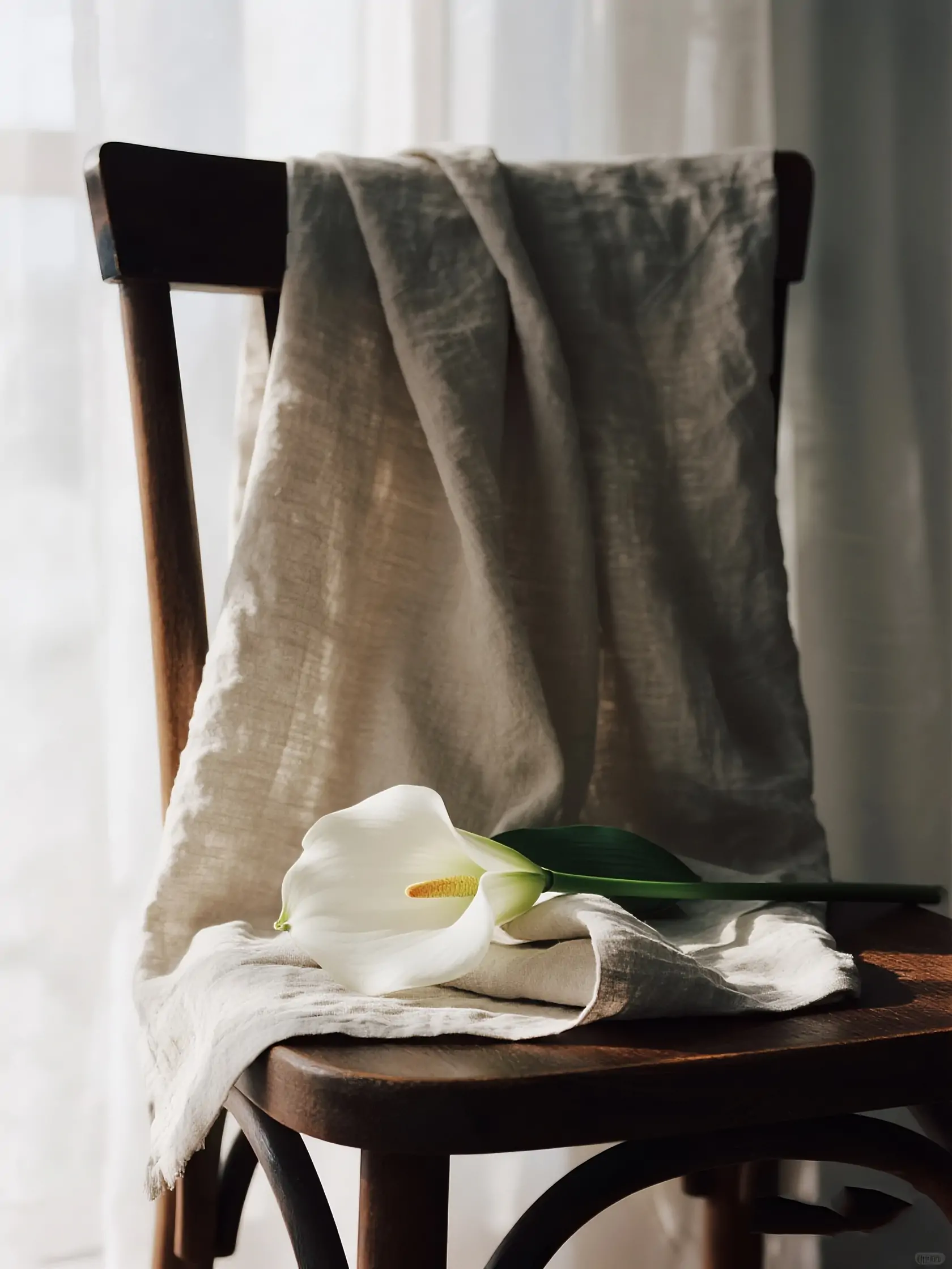 亚麻布料马蹄莲花产品特写静物摄影海报-即梦ai关键词描述咒语-Ai宇宙吧-