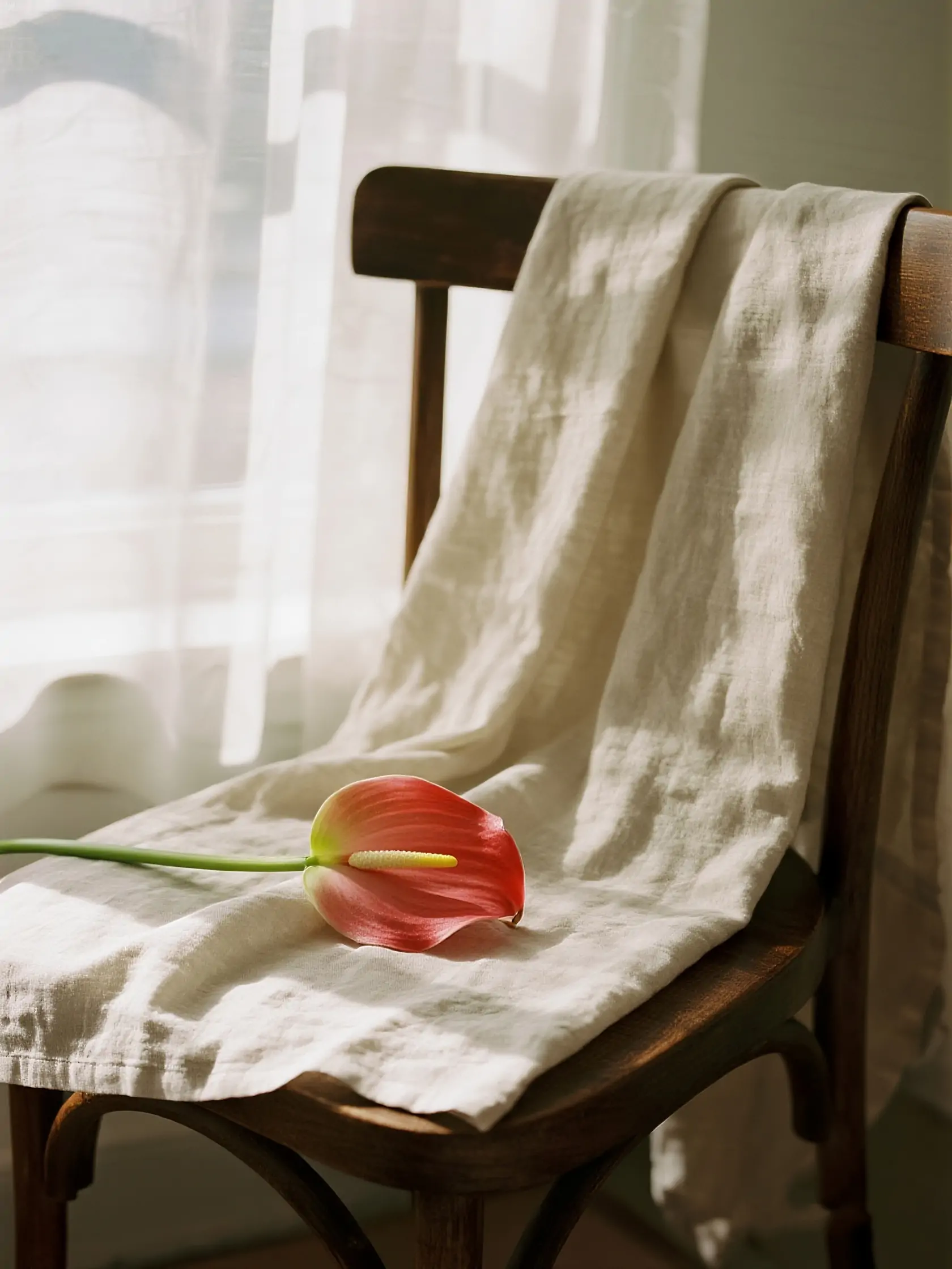 亚麻布料马蹄莲花椅子产品特写静物摄影海报-即梦ai关键词描述咒语-Ai宇宙吧-