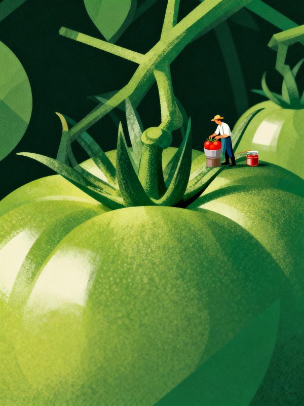 创意手绘巨型绿色西红柿番茄微距静物摄影海报-即梦ai关键词描述咒语-Ai宇宙吧-